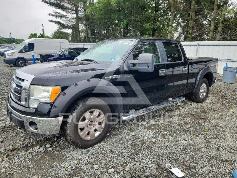 2009 Ford F-150 photo