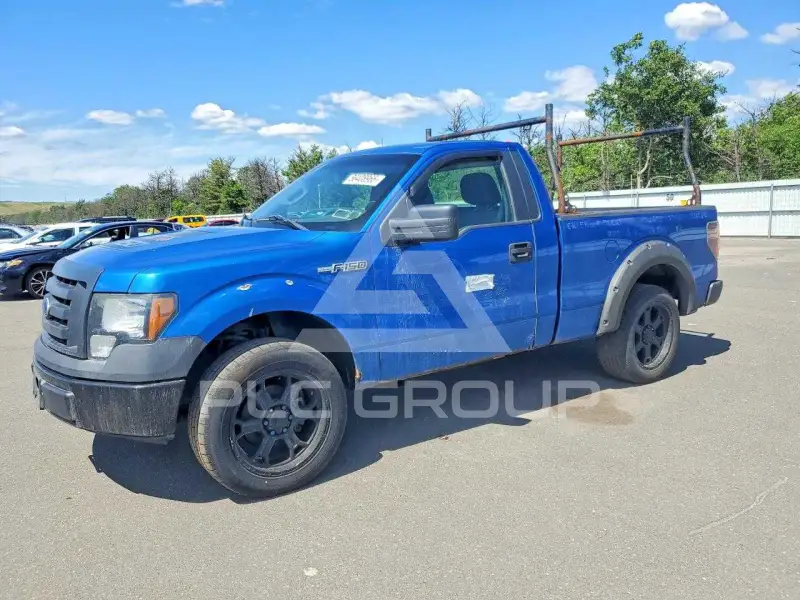 2009 Ford F-150 фото