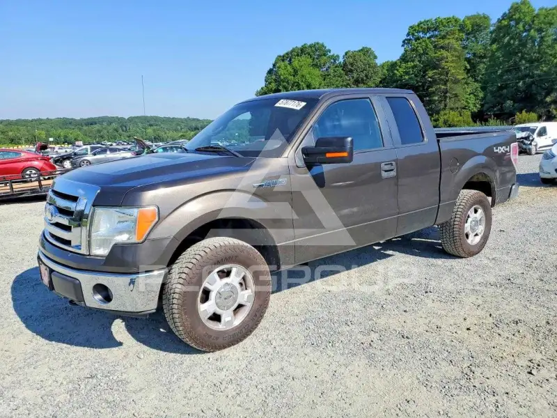 2009 Ford F-150 фото