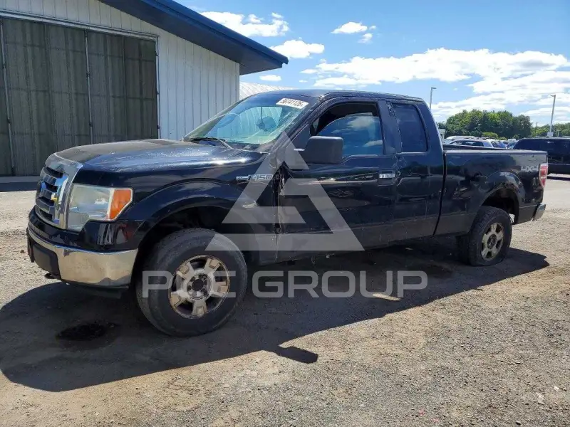 2009 Ford F-150 photo