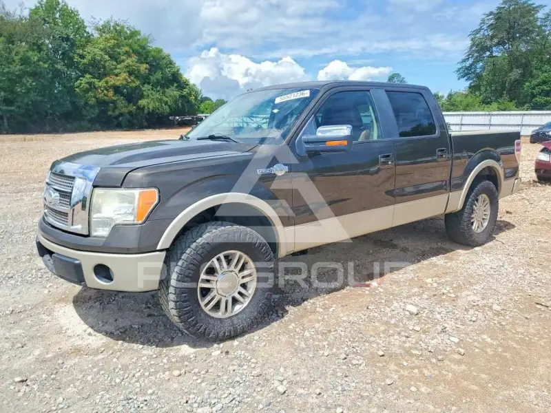 2009 Ford F-150 photo