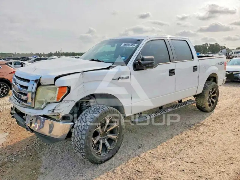 2009 Ford F-150 photo