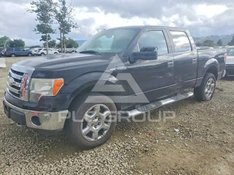 2009 Ford F-150 фото