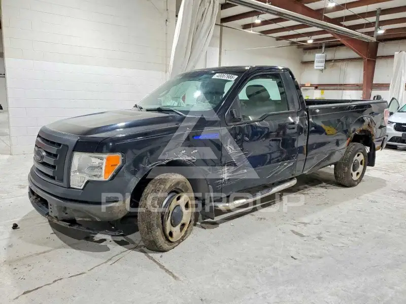 2009 Ford F-150 photo