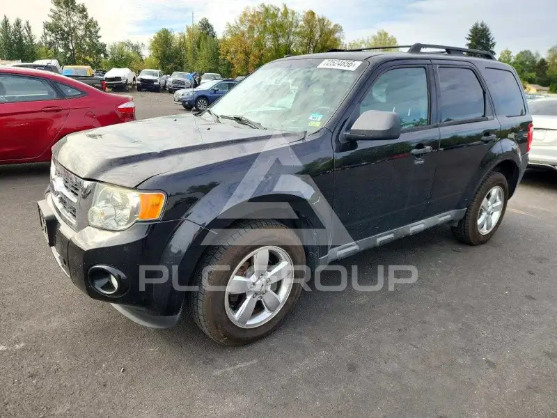 2009 Ford ESCAPE photo