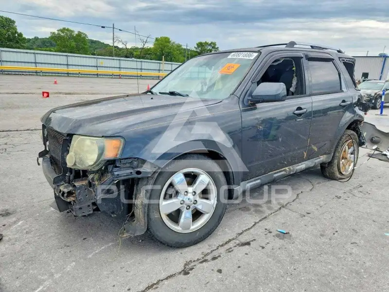 2009 Ford ESCAPE фото