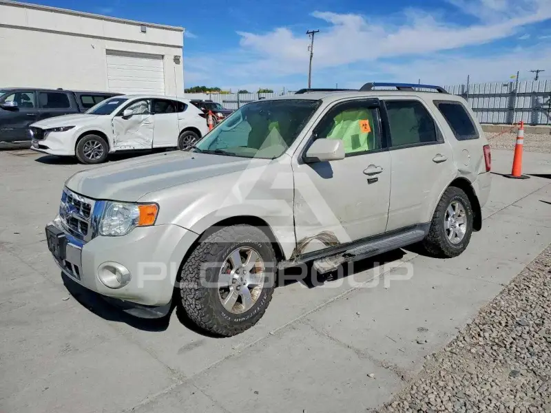 2009 Ford ESCAPE photo