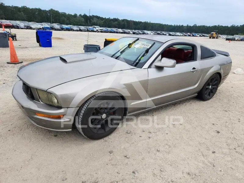 2009 Ford MUSTANG фото