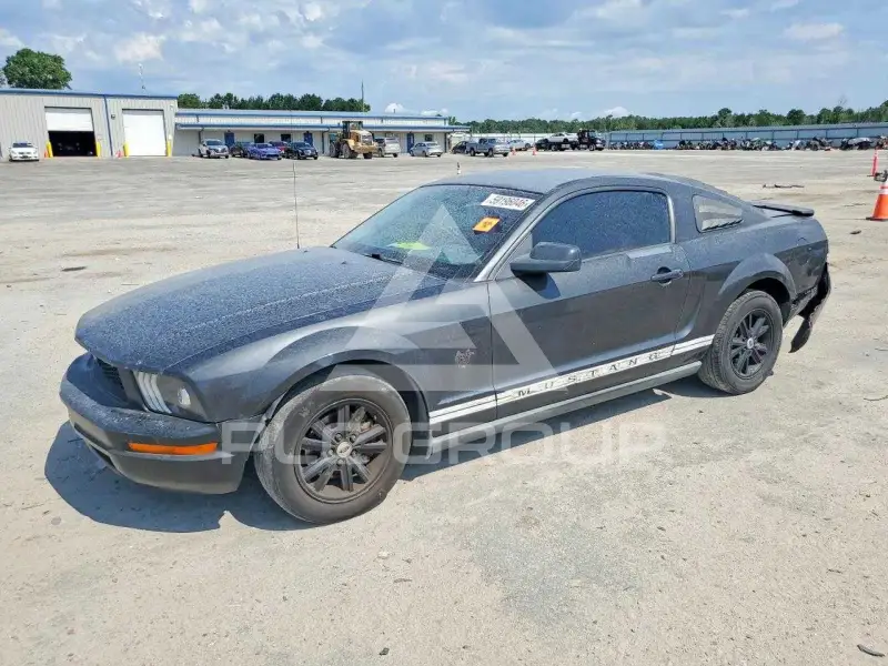 2009 Ford MUSTANG фото