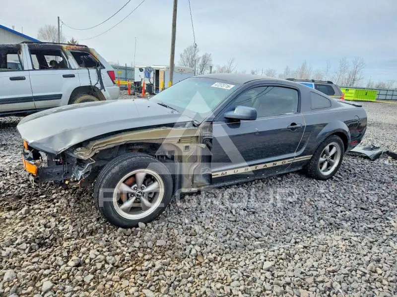 2009 Ford MUSTANG фото