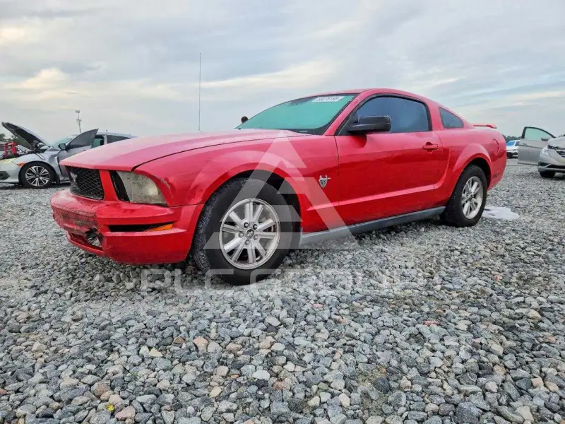 2009 Ford MUSTANG photo