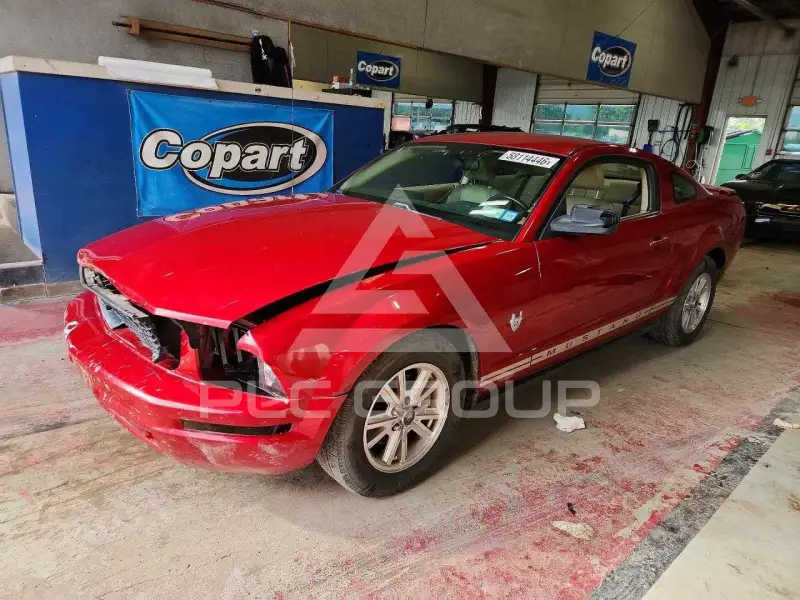 2009 Ford MUSTANG фото