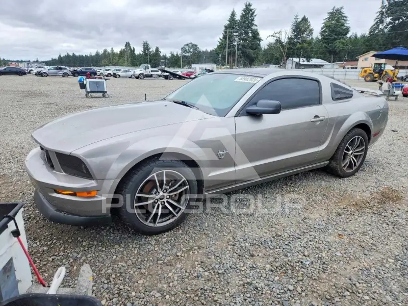 2009 Ford MUSTANG фото