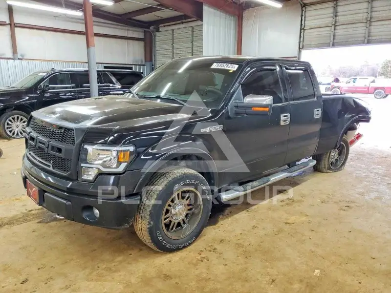 2009 Ford F-150 фото