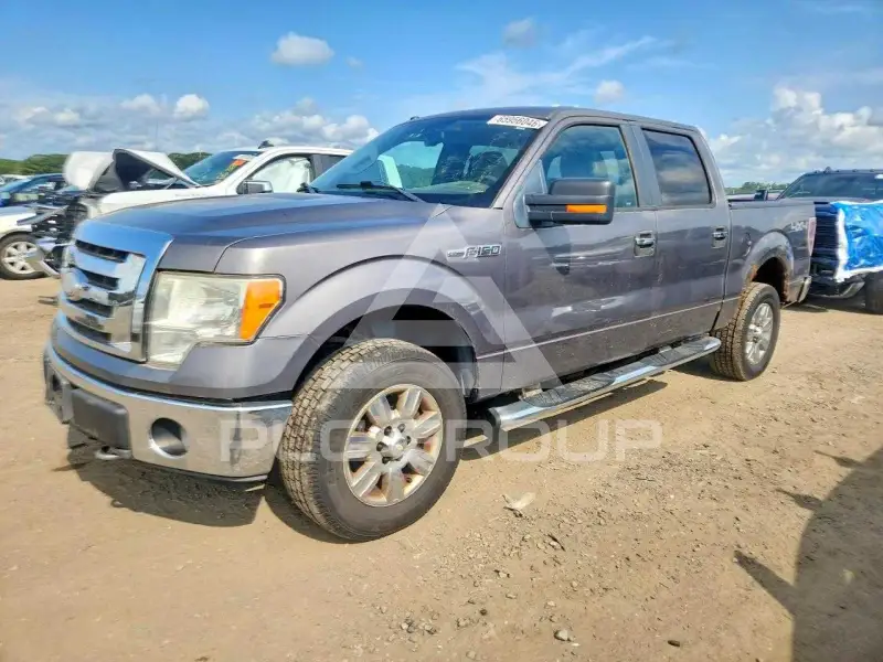 2009 Ford F-150 фото