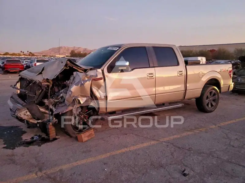 2009 Ford F-150 photo