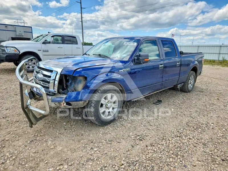 2009 Ford F-150 photo