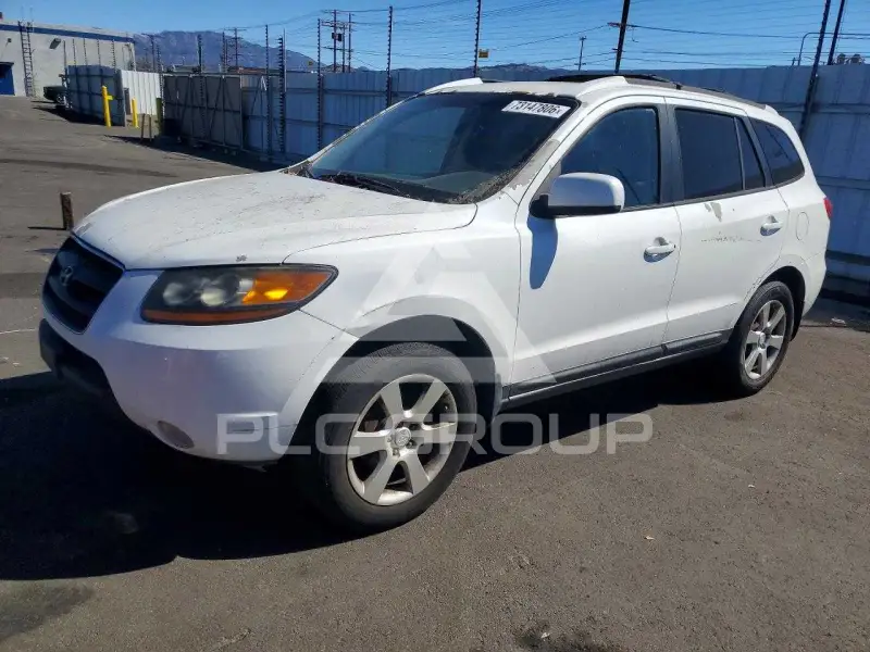 2009 Hyundai Santa Fe фото