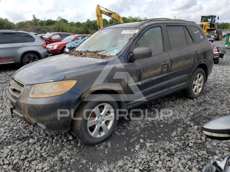 2009 Hyundai Santa Fe фото
