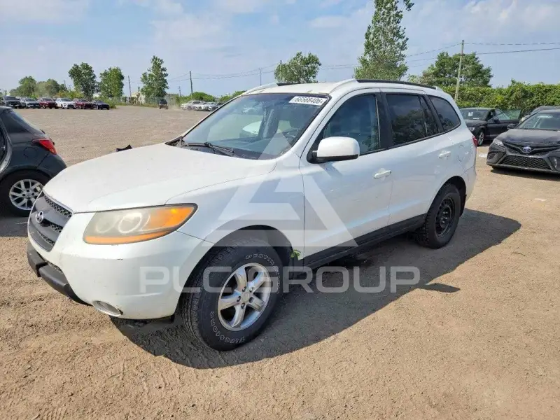 2009 Hyundai Santa Fe фото