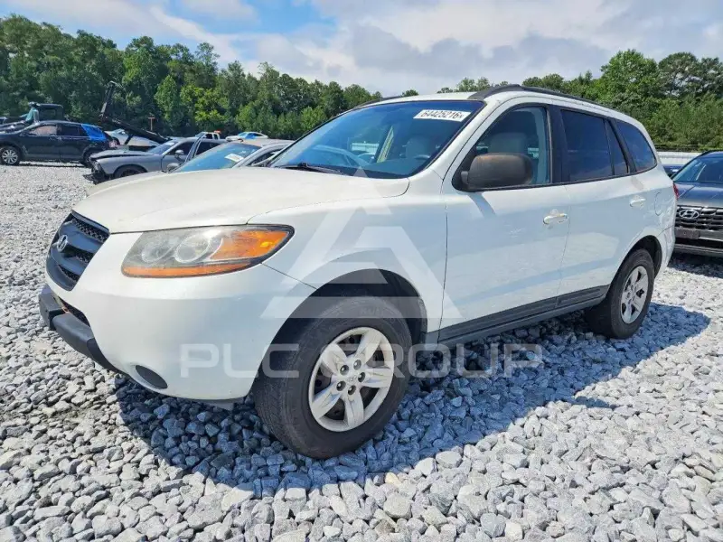 2009 Hyundai Santa Fe photo