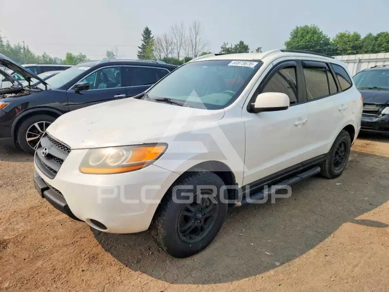 2009 Hyundai Santa Fe фото