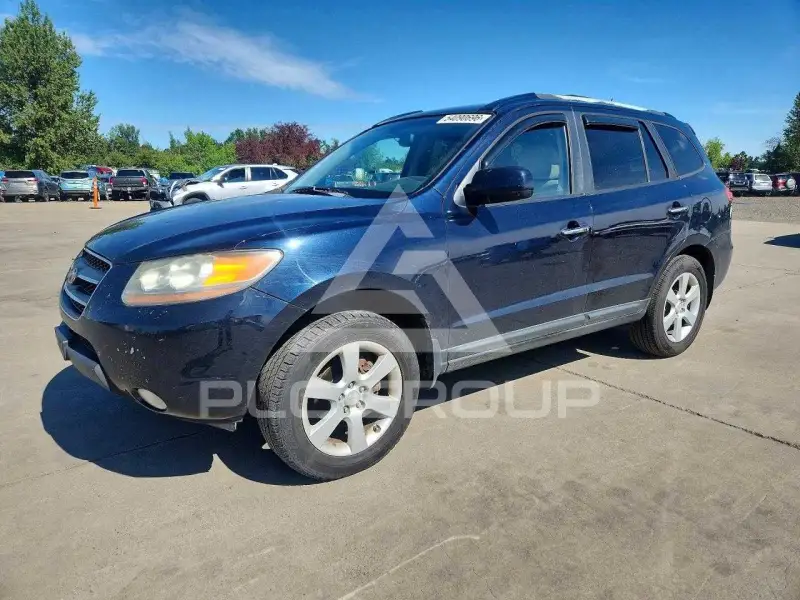 2009 Hyundai Santa Fe фото