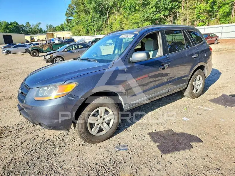 2009 Hyundai Santa Fe фото
