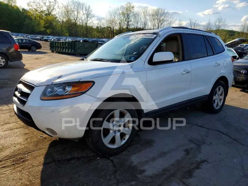 2009 Hyundai Santa Fe фото