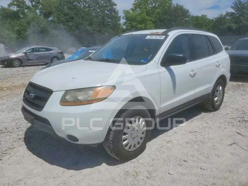 2009 Hyundai Santa Fe фото