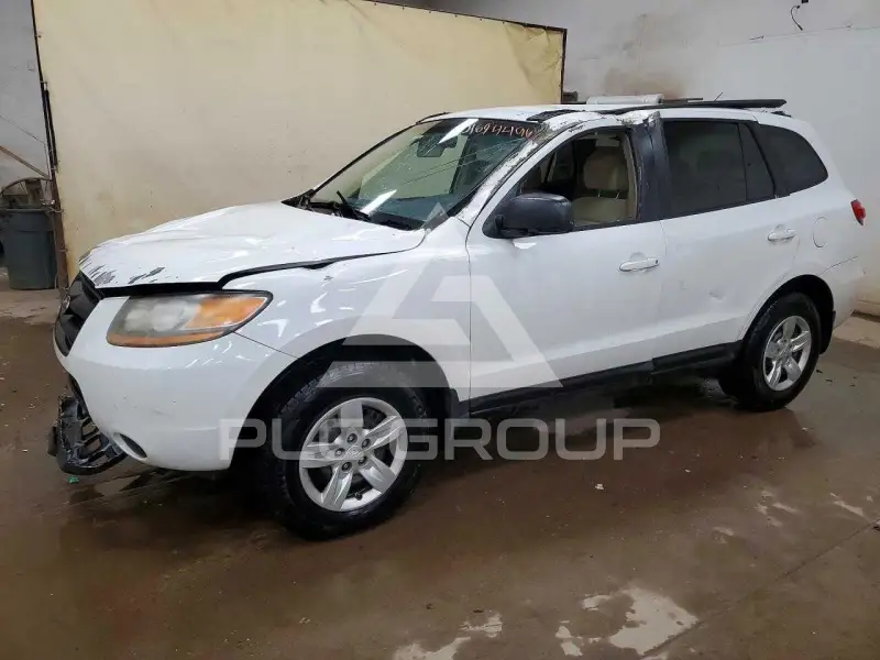 2009 Hyundai Santa Fe фото