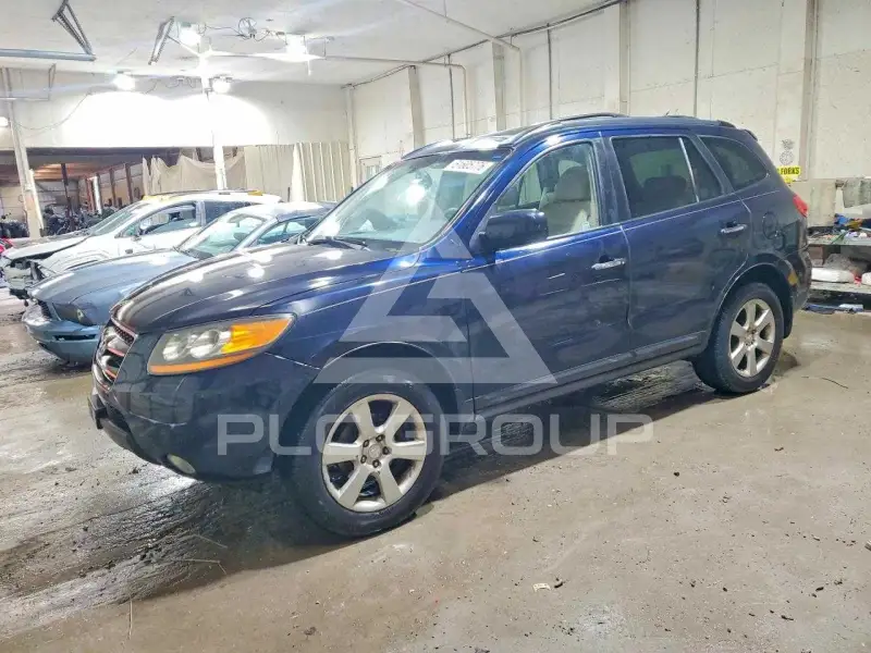 2009 Hyundai Santa Fe фото