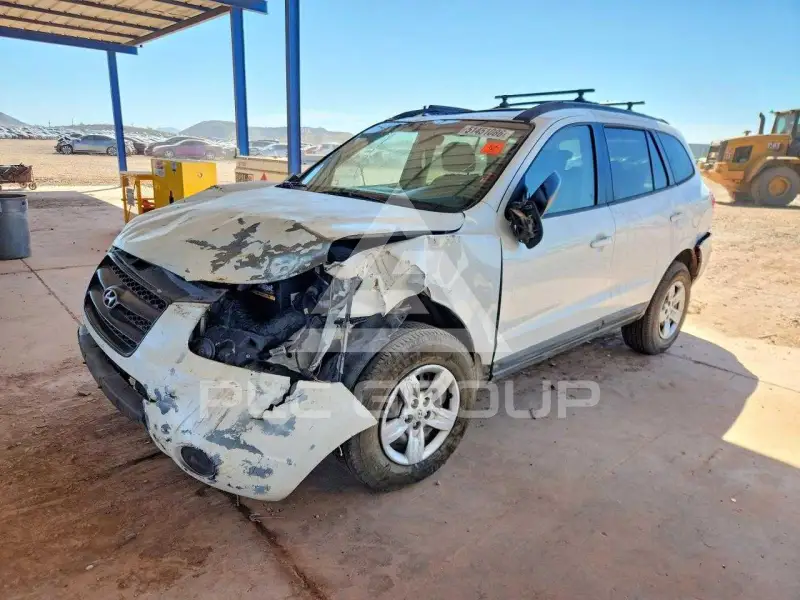 2009 Hyundai Santa Fe фото
