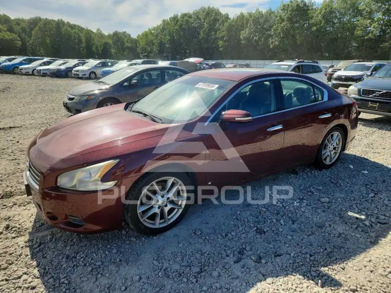 2010 Nissan MAXIMA photo