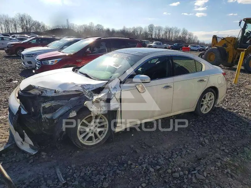 2010 Nissan MAXIMA фото