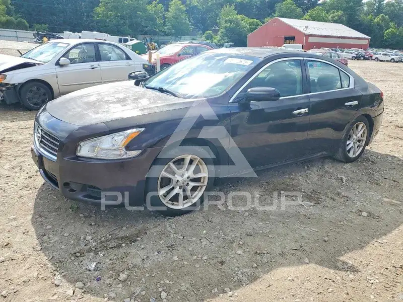2010 Nissan MAXIMA фото