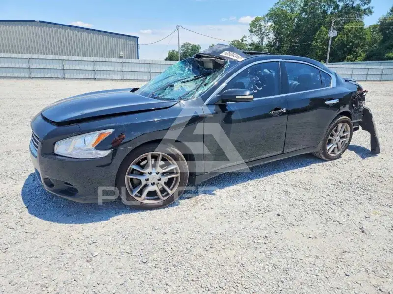 2010 Nissan MAXIMA photo