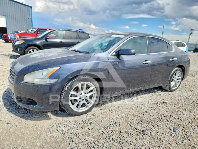 2010 Nissan MAXIMA photo