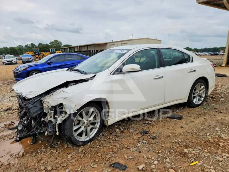 2010 Nissan MAXIMA photo