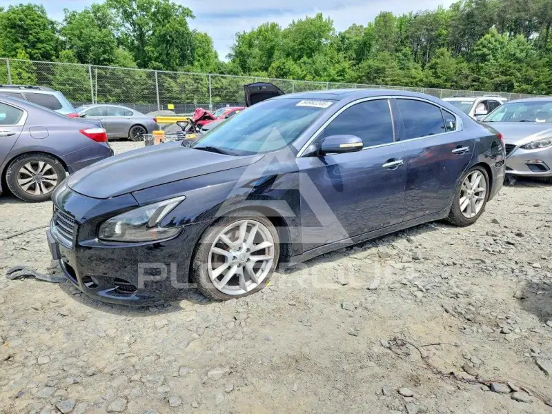 2010 Nissan MAXIMA фото