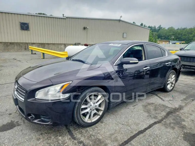 2010 Nissan MAXIMA photo