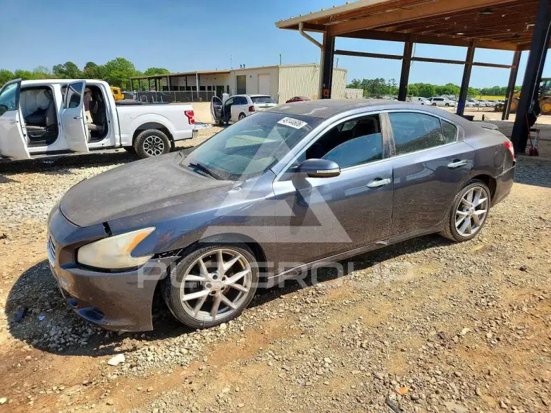 2010 Nissan MAXIMA фото
