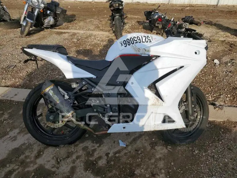 2010 Kawasaki Ninja250 фото