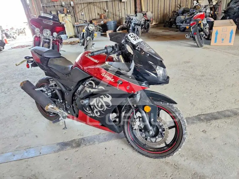 2010 Kawasaki Ninja250 фото