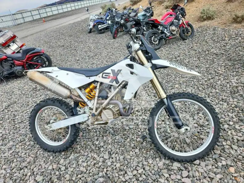 2010 BMW G450X photo