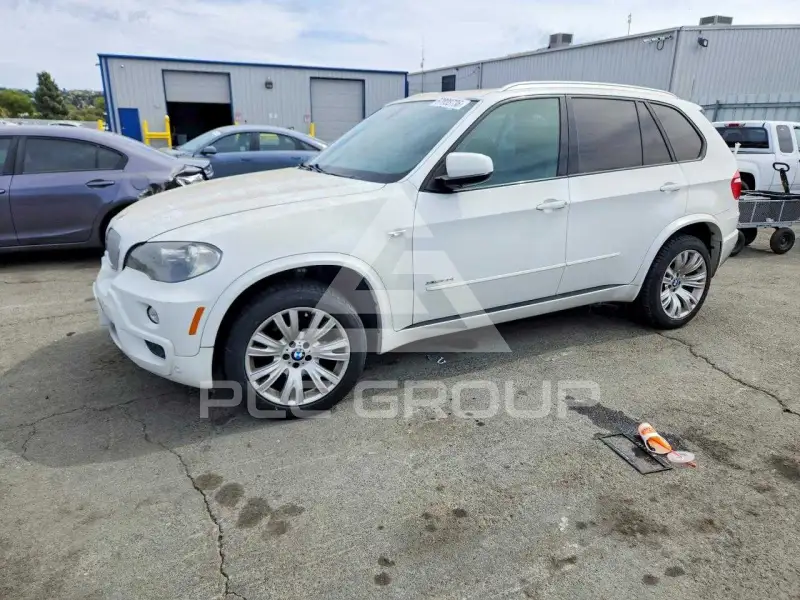 2010 BMW X5 photo
