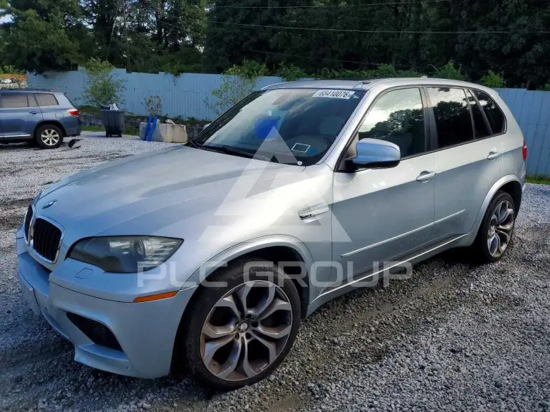 2010 BMW X5 photo