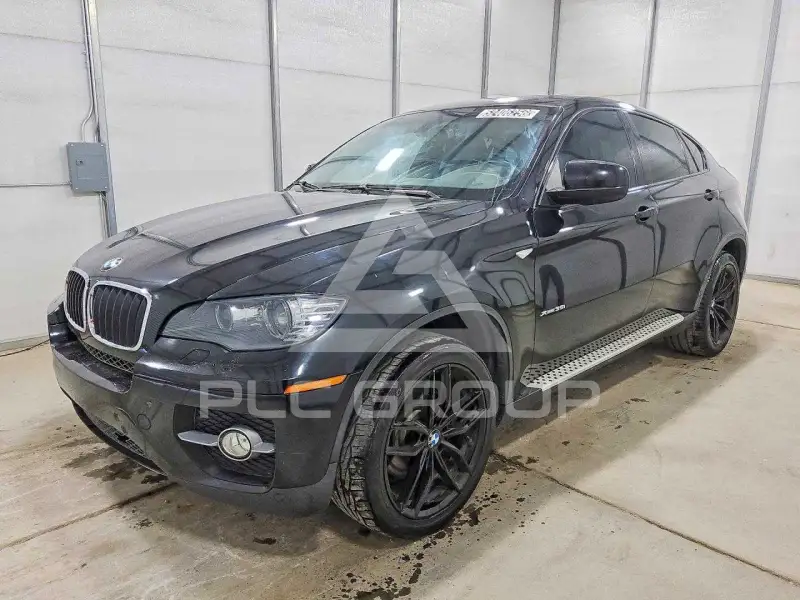 2010 BMW X6 photo