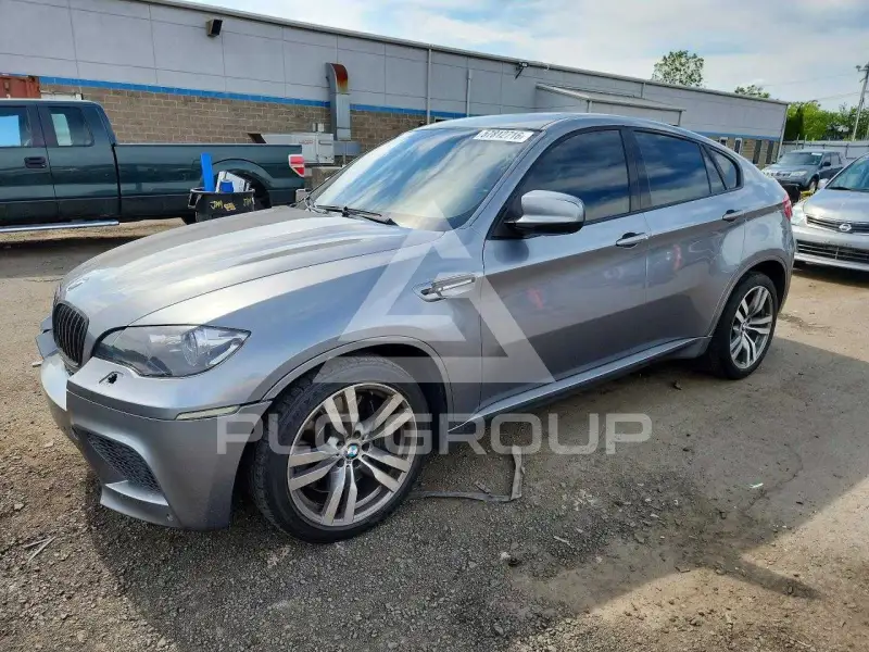 2010 BMW X6 фото