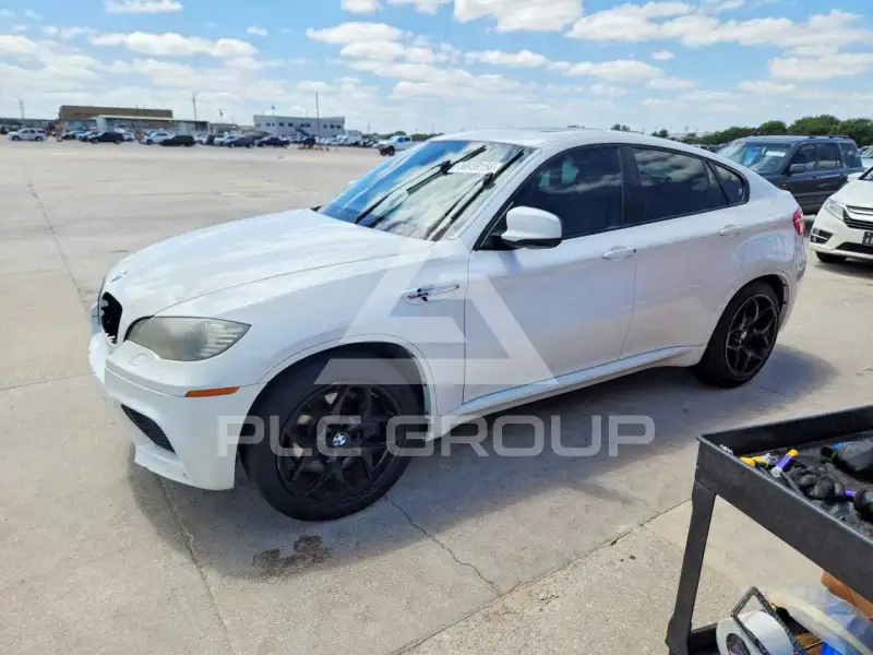 2010 BMW X6 photo